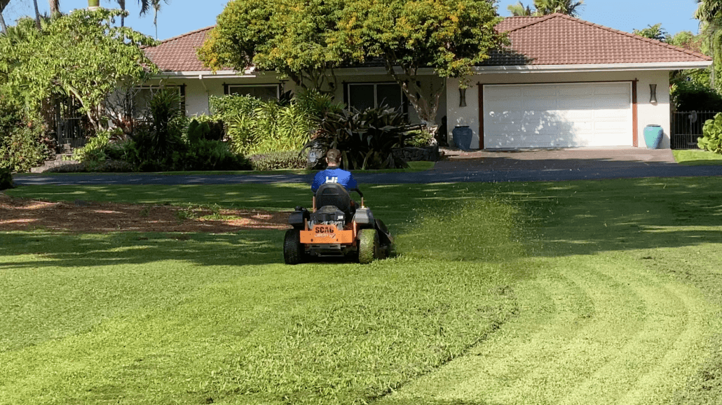 What are the top tips for creating a pollinator-friendly yard in Hawaii?