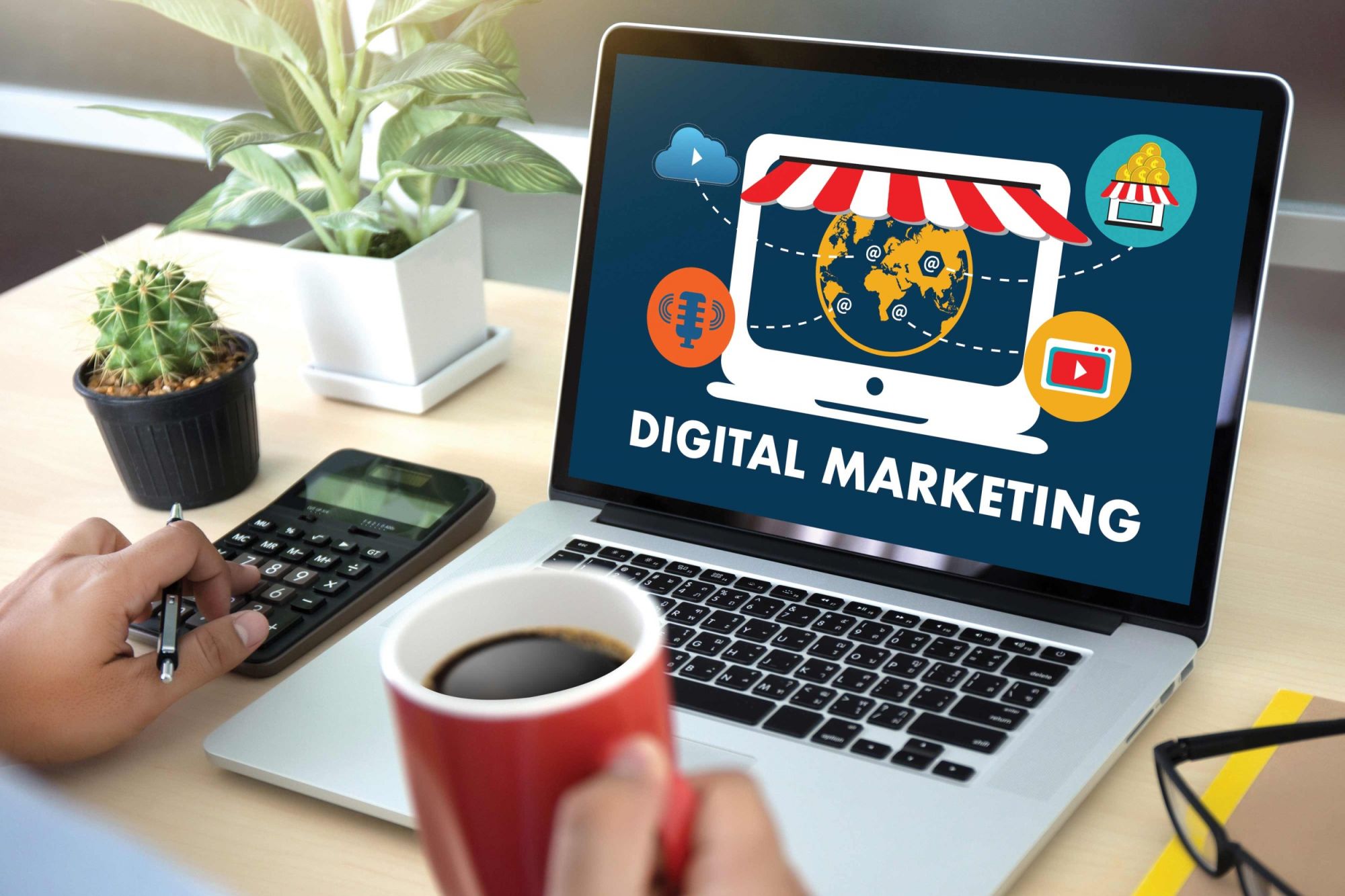Get Targeted SEO Services in Noida with Delhi Digitech’s Local Approach