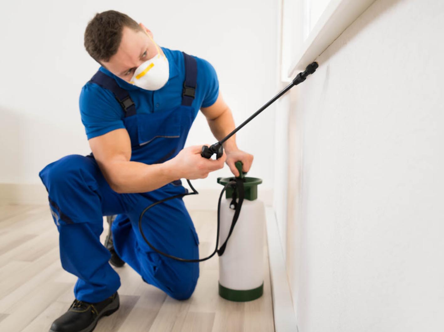 Commercial Pest Control Parma Oh