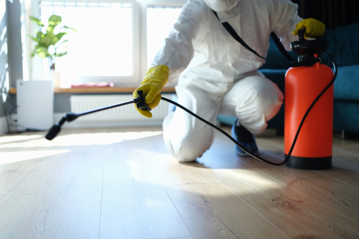 Commercial Pest Control Parma Oh