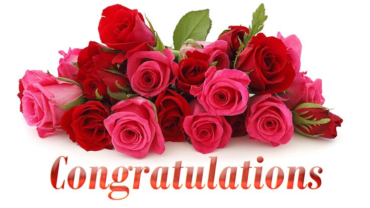 Best Congratulations Flowers to Celebrate Any Occasion