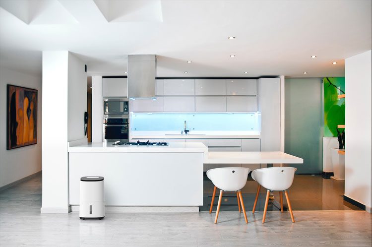 Whole House Dehumidifier