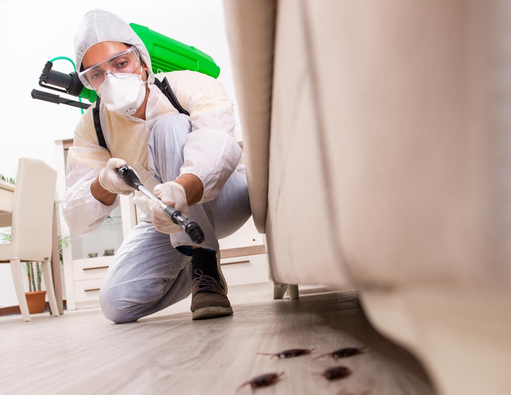 Commercial Pest Control Service Parma Oh 1