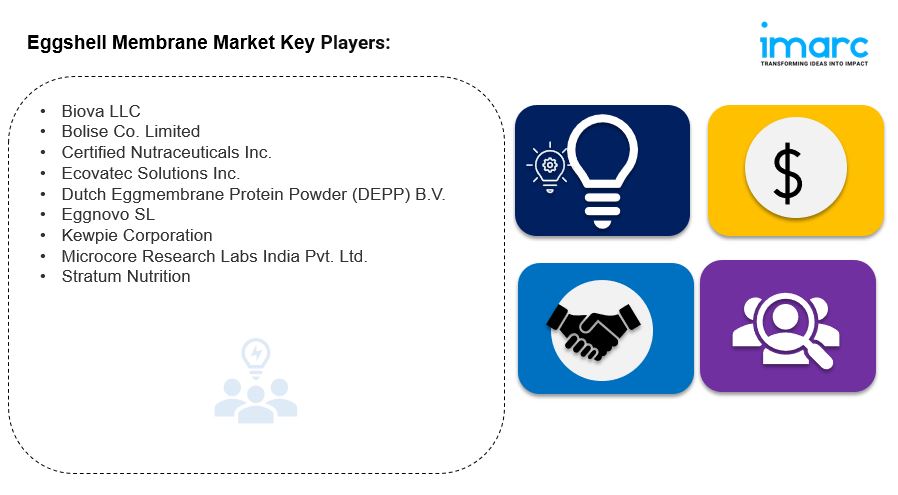 Eggshell Membrane Market Size, Share And Forecast Report 2033