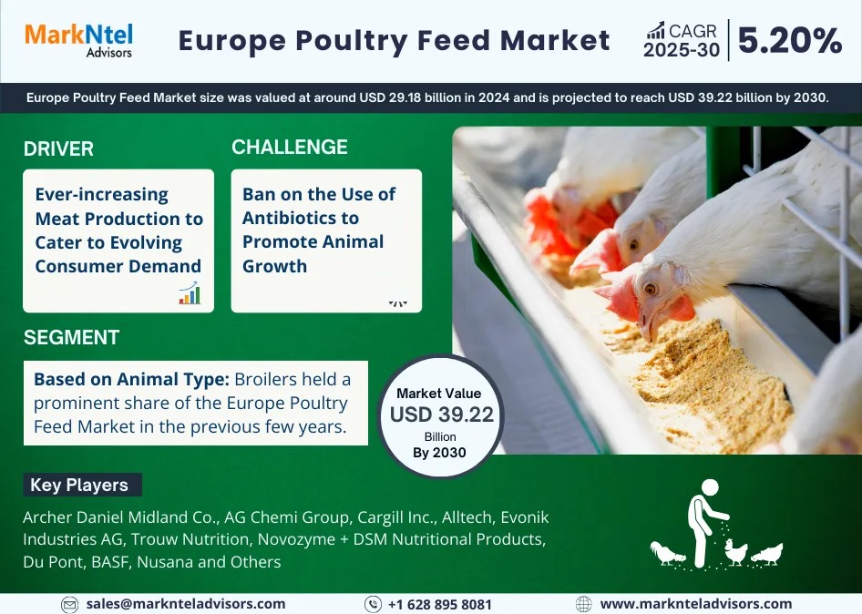 Europe Poultry Feed Market