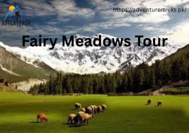 Fairy Meadows Tour Guide – Your Complete Path to a Dreamy Escape