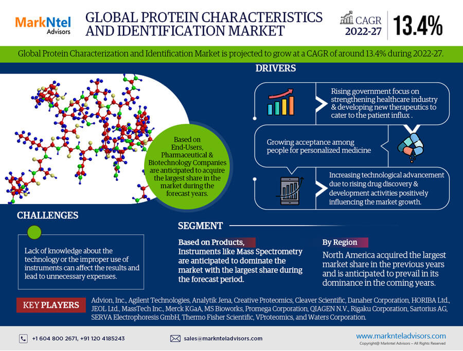 Protein Characterization and Identification