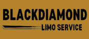 Rosemount MN chauffeur service