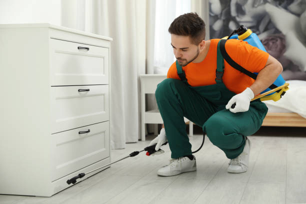 Termite Inspection in New Jersey