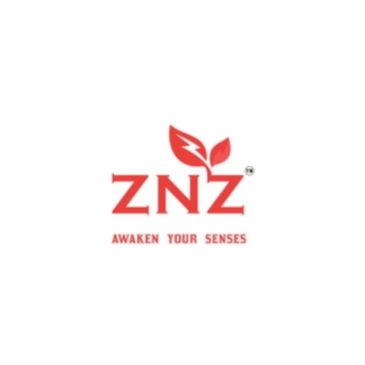 ZNZ-logo