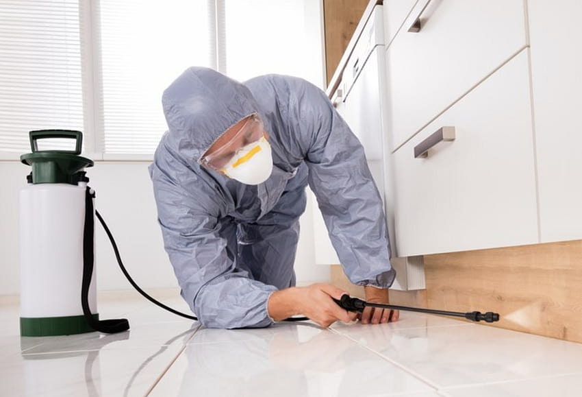 Commercial Pest Control Service Parma Oh