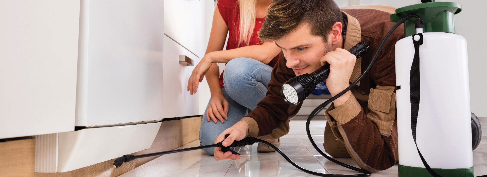 Residential Pest Control Parma Oh