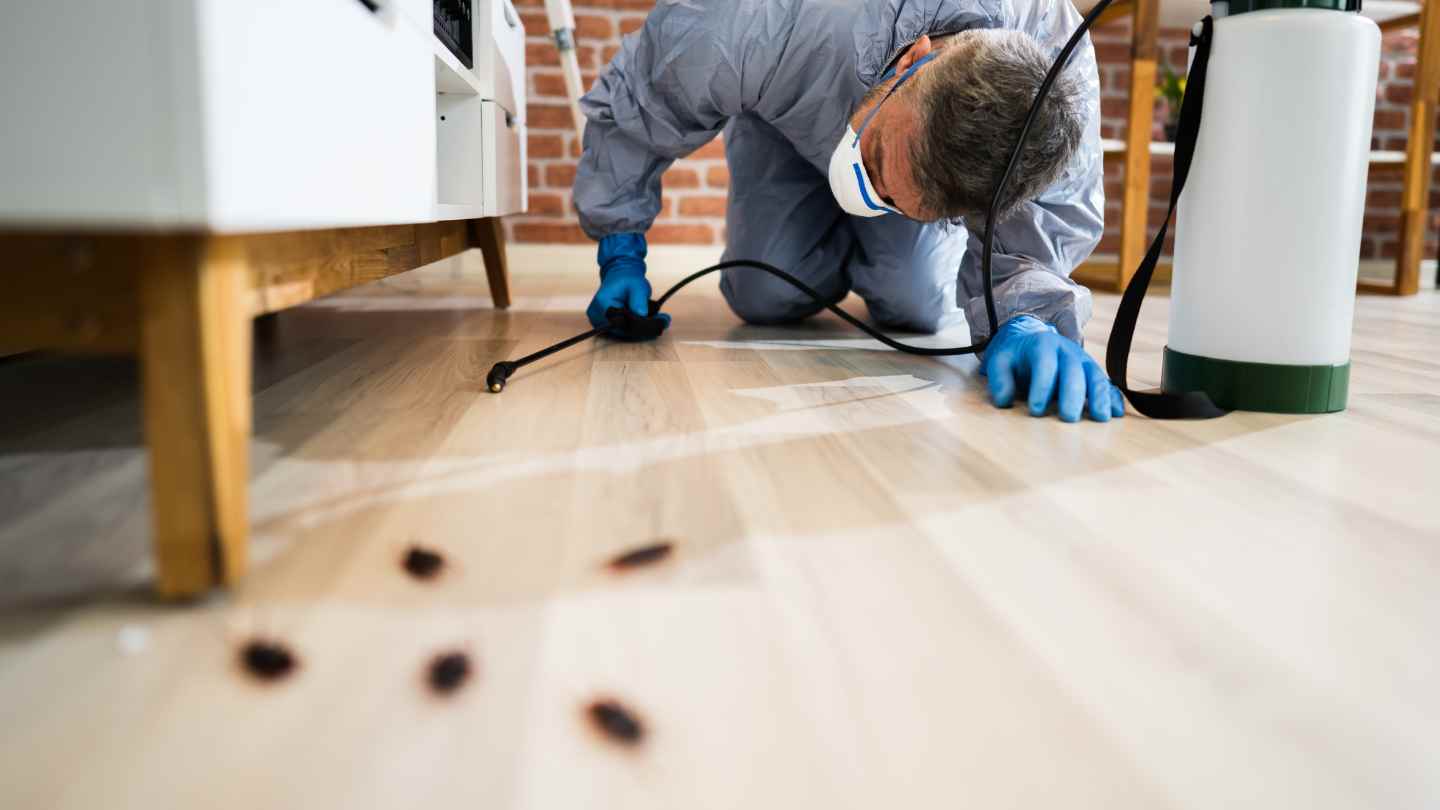 Residential Pest Control Parma Oh