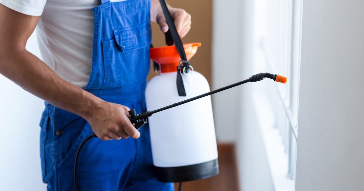 Residential Pest Control Service Parma Oh