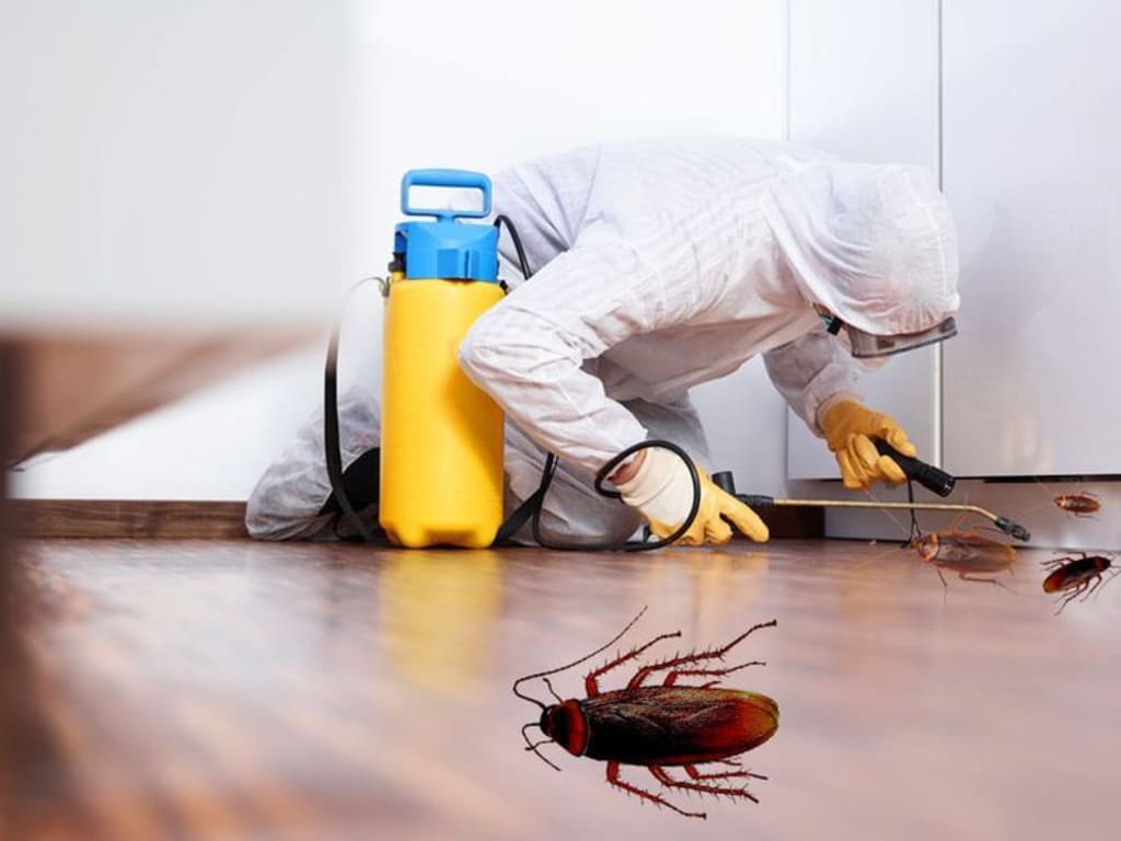 Residential Pest Control Parma Oh