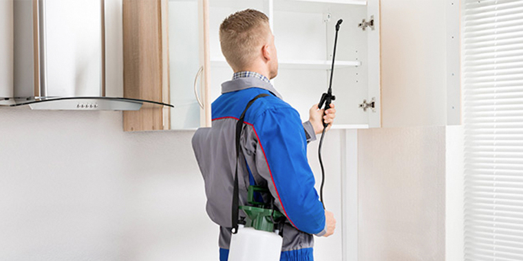 General Pest Control in Cleveland