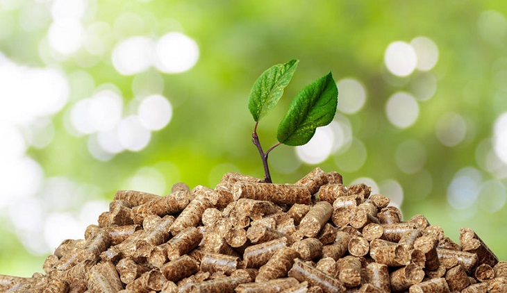 6 Reasons Why Biomass Pellets Are a Smart Energy Choice