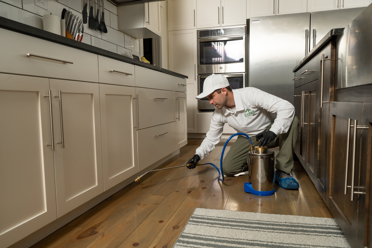 Commercial Pest Control Parma Oh 4
