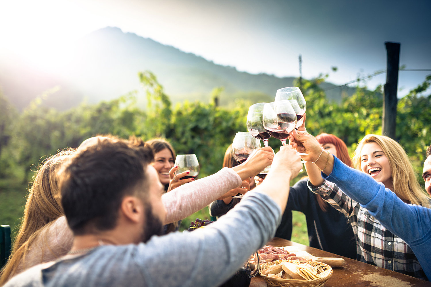 Driftwood Wineries Tour