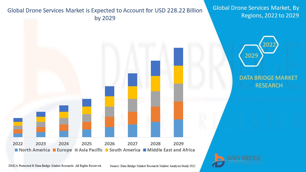 Drone Services Market