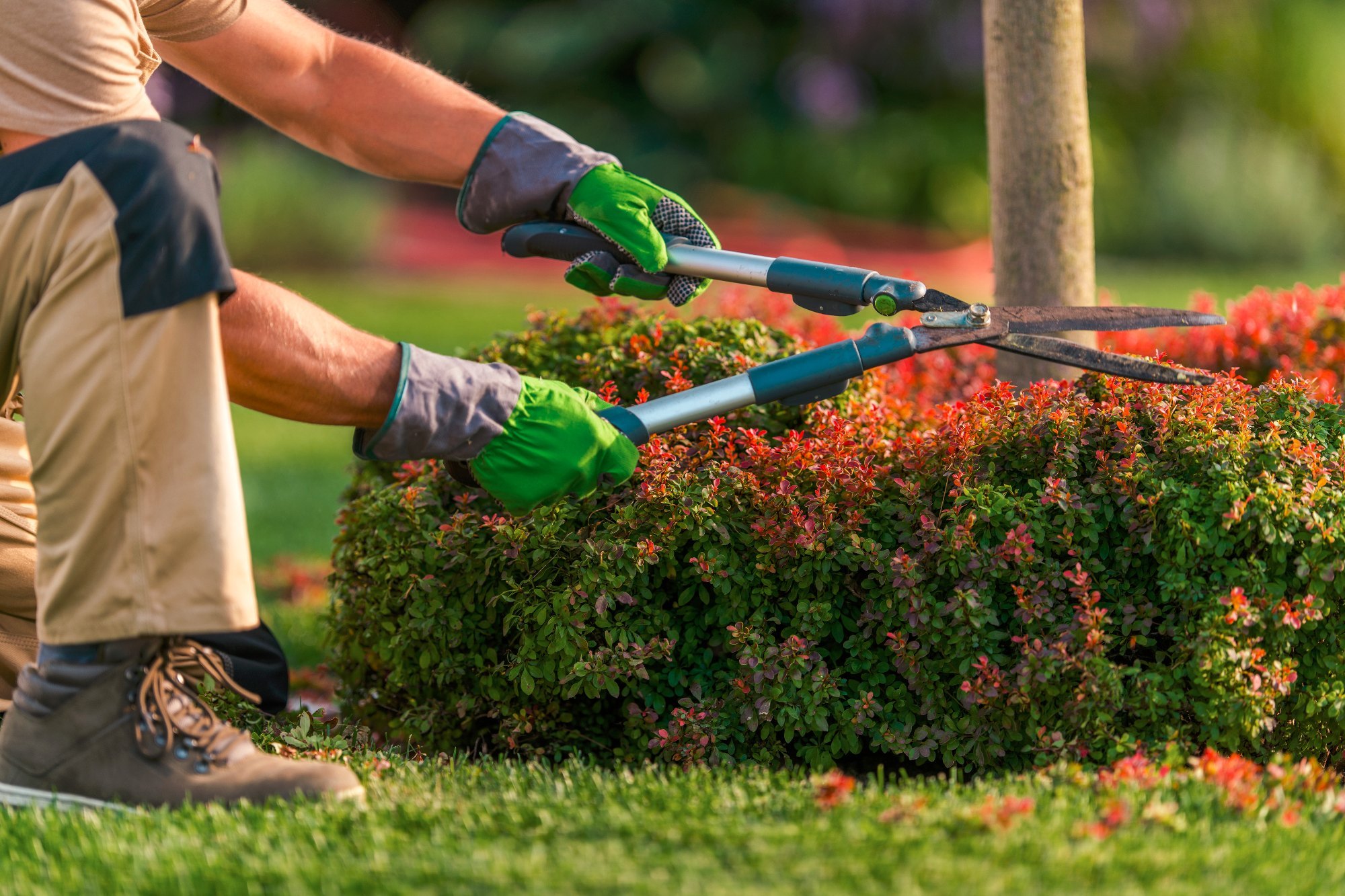 Landscaping Services Near Me