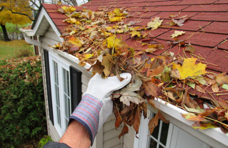 Roof Gutter Cleaning Geelong