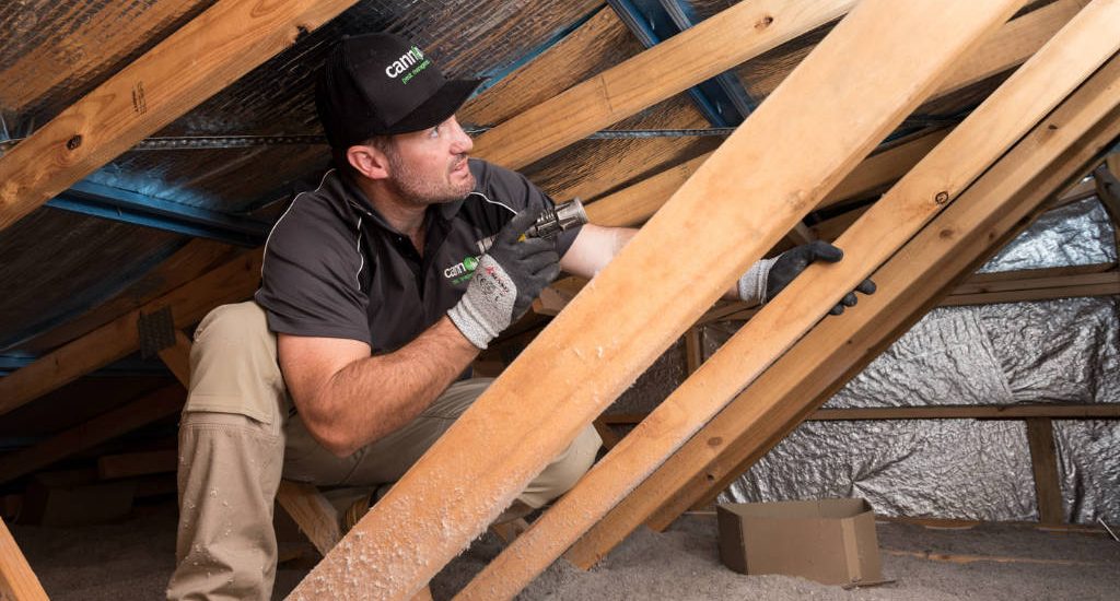 Termite Inspection in New Jersey 9