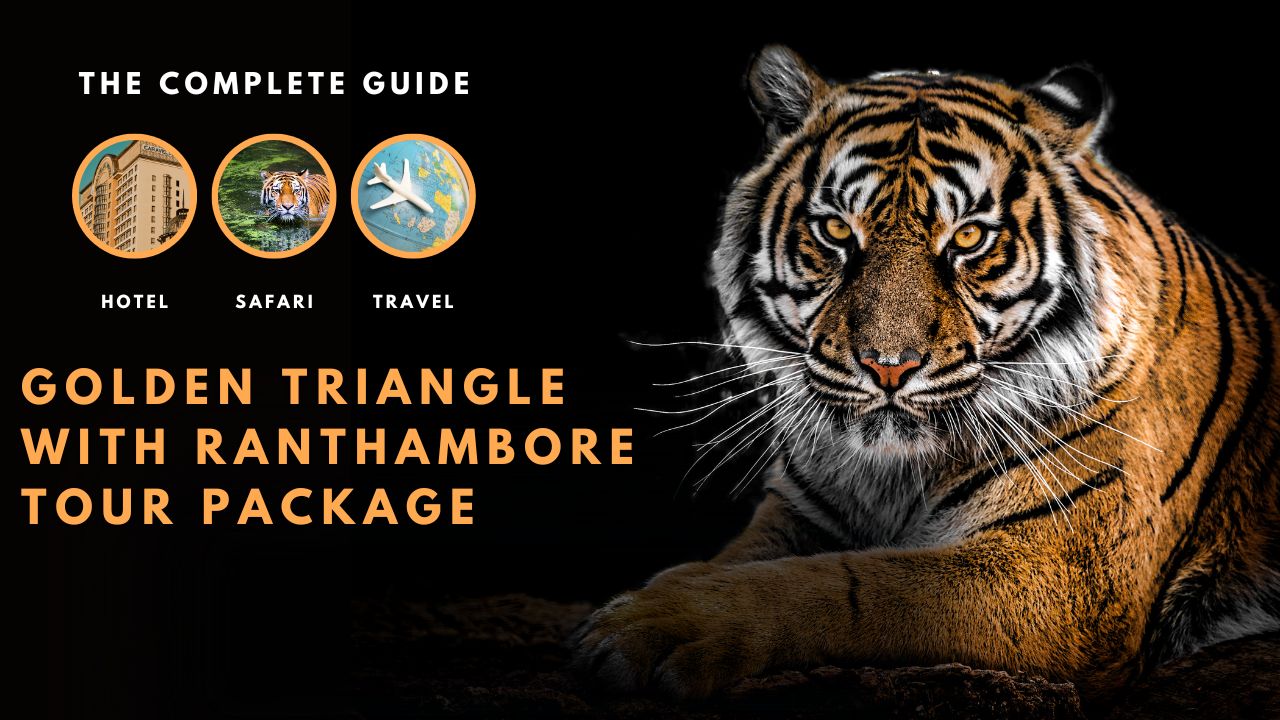Ranthambore Holiday Packages for Wildlife and Heritage