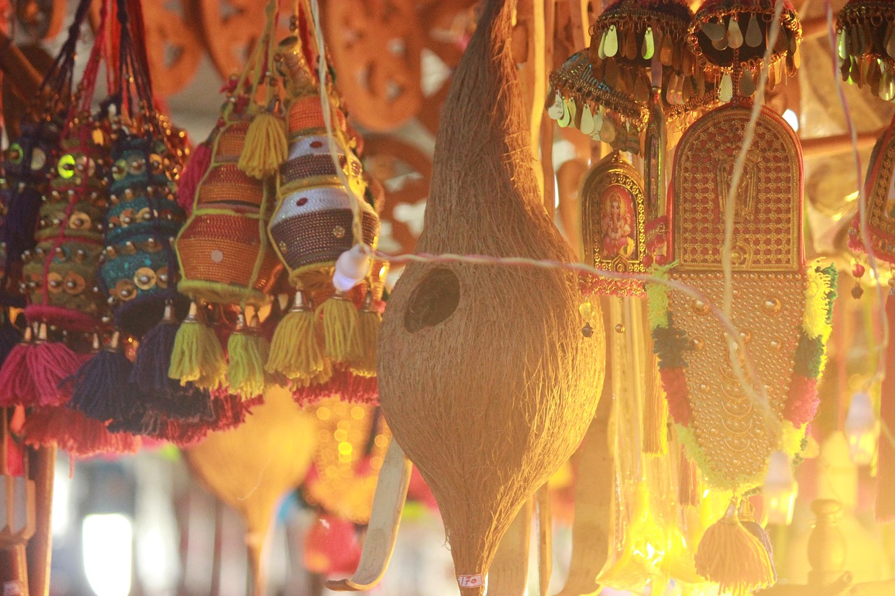 10 days tour to India