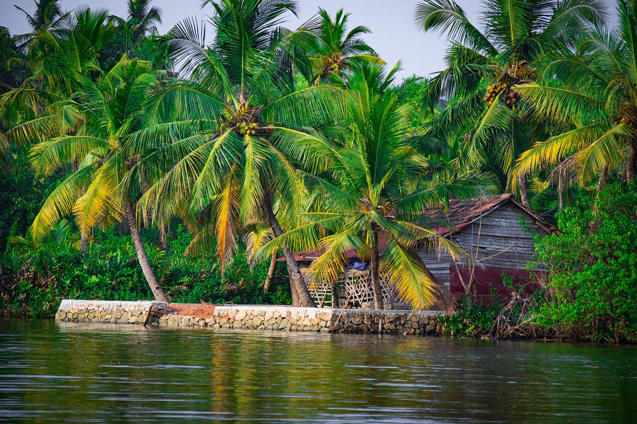 kerala holiday packages