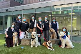 Benefits of Enrolling in a Pet Wellness Program in Sedro Woolley