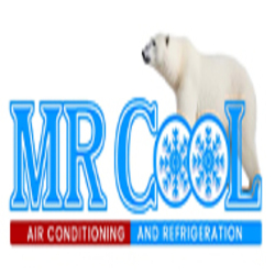 logo Mr.cool