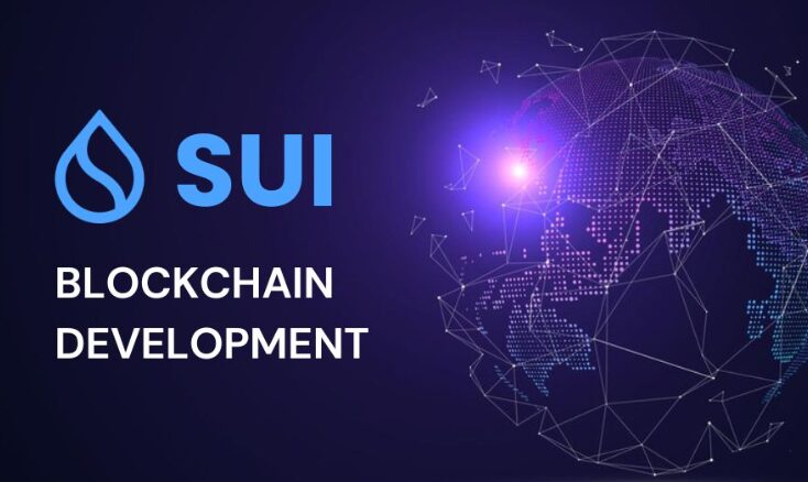sui blockchain development company