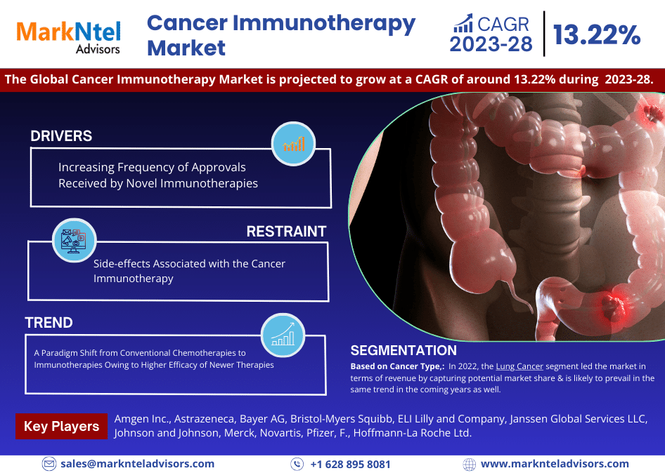 Global Cancer Immunotherapy Market Research Report Forecast (2025-2030)