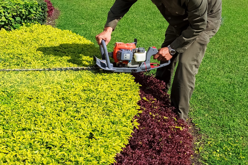 hedge and trimming