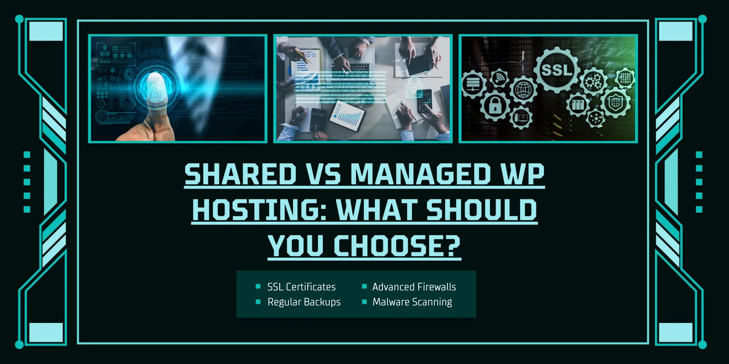 Shared vs Managed WP Hosting What Should You Choose