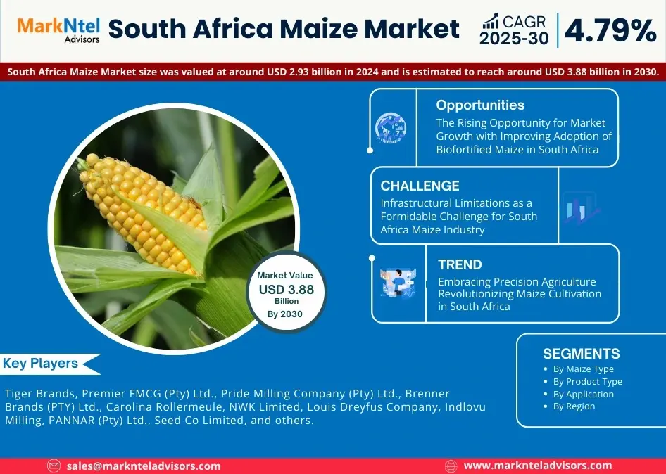 South Africa Maize Market 2025 – Geographical Analysis, Latest Technology, Investment Opportunities, Future Trends and Outlook 2030