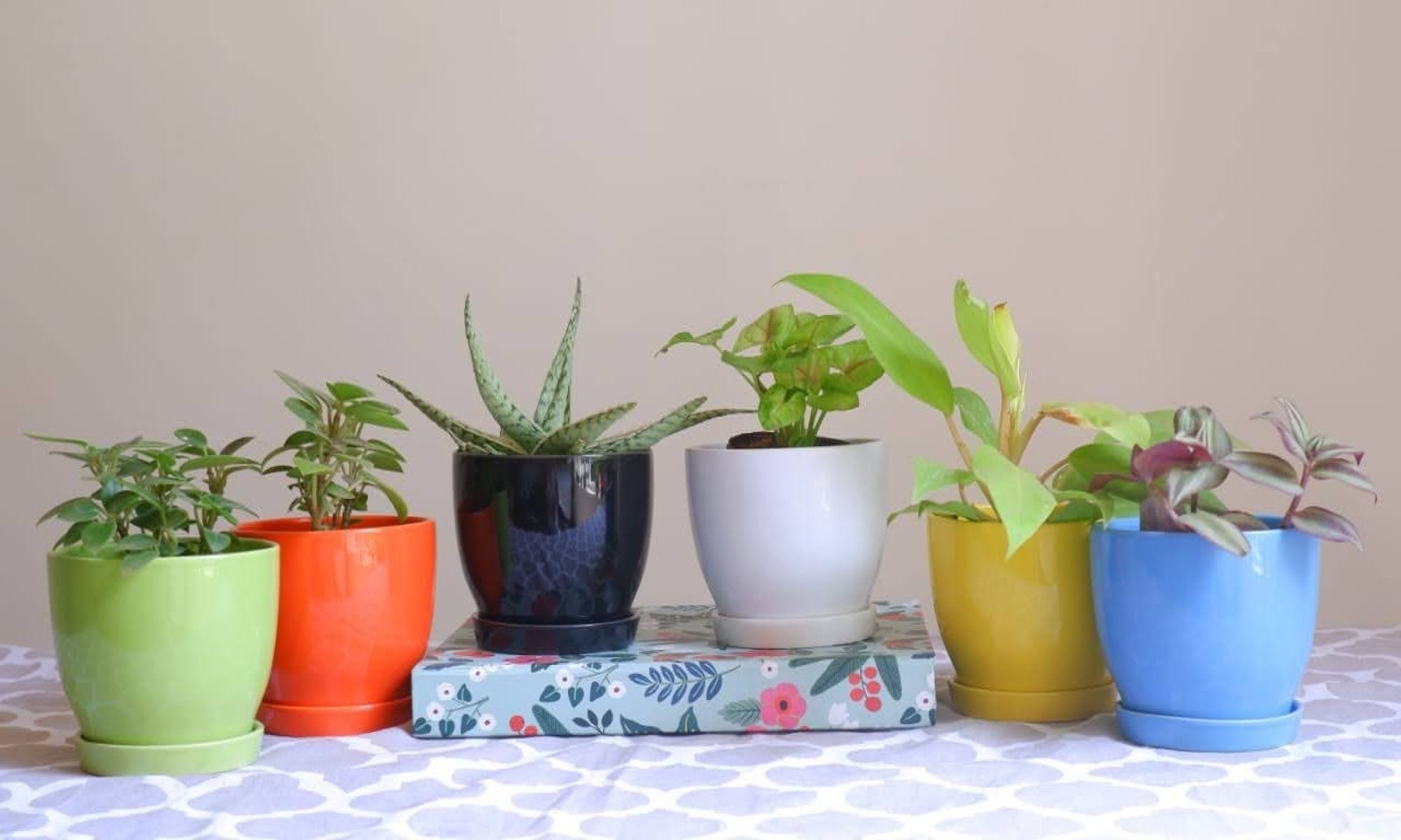 wholesale flower pots