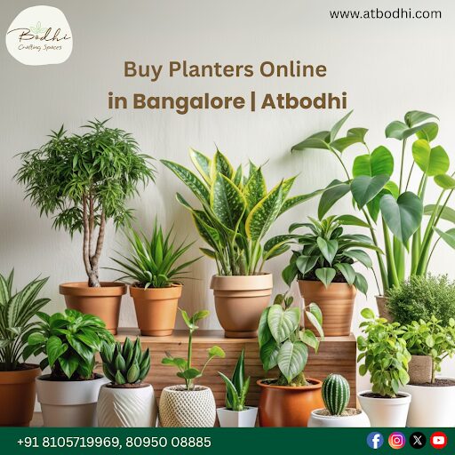 Your Guide to Indoor & Outdoor Planters in Bangalore: A 10-Year Journey with Atbodhi