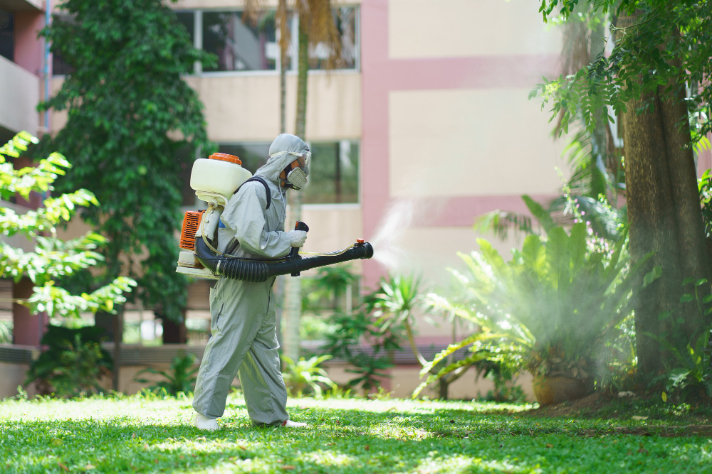 Pest Control North York – Complete Guide to a Pest-Free Home