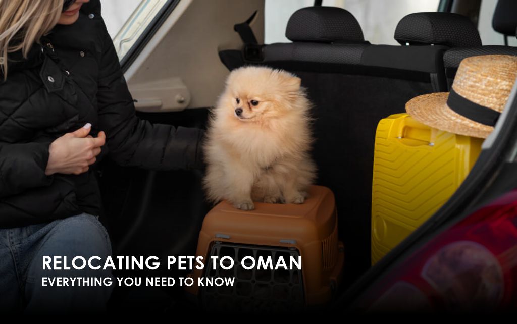 Relocating Pets to Oman: Everything You Need to Know