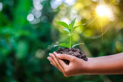 How Businesses Benefit from Phase 1 Environmental Testing in Illinois Through Consulting Firms?