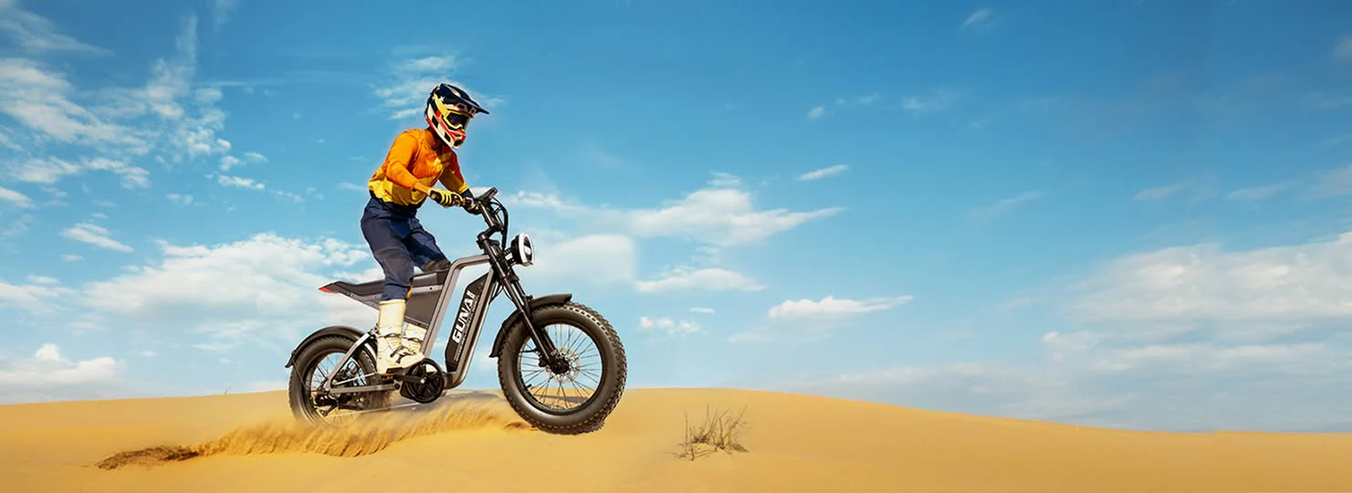 Ridenue E-Bikes: Redefining the Future of Urban Mobility