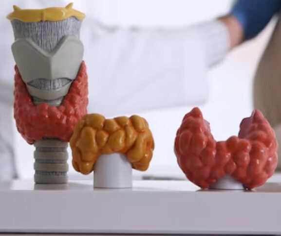 u13523-Screenshot-2025-10-10-103954-2