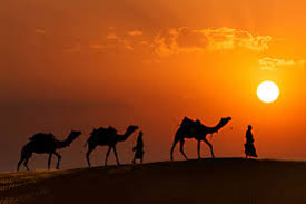 Discover the Best places to visit in Rajasthan, India