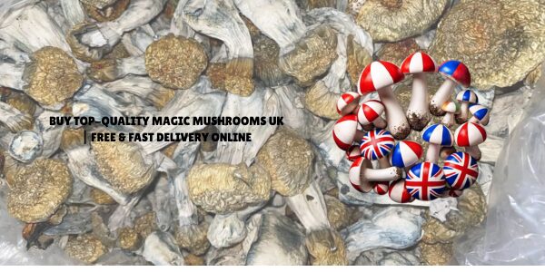 Why More People Are Choosing to Buy Psychedelic Mushroom Gummies Online