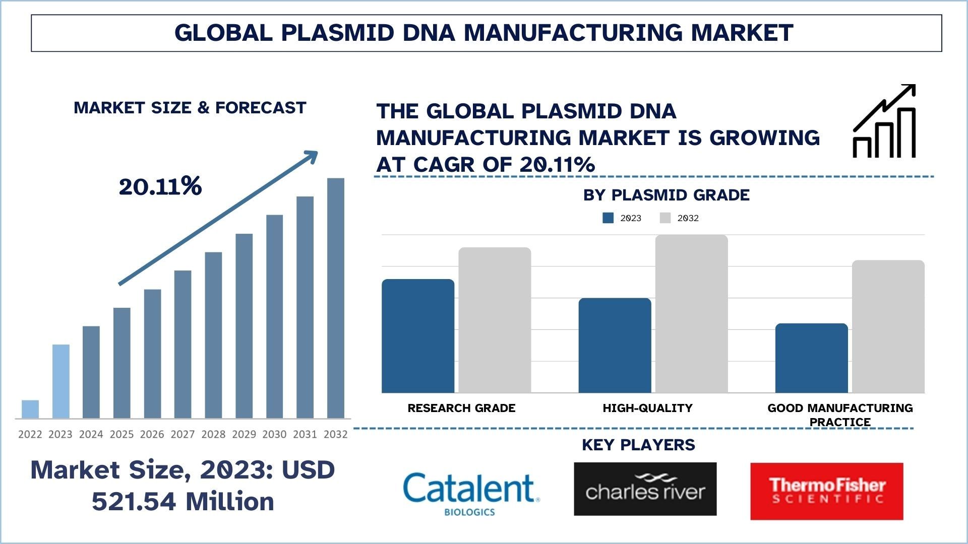Plasmid_DNA_Manufacturing_Market_Size_and_Forecast_12d6afe18a-1
