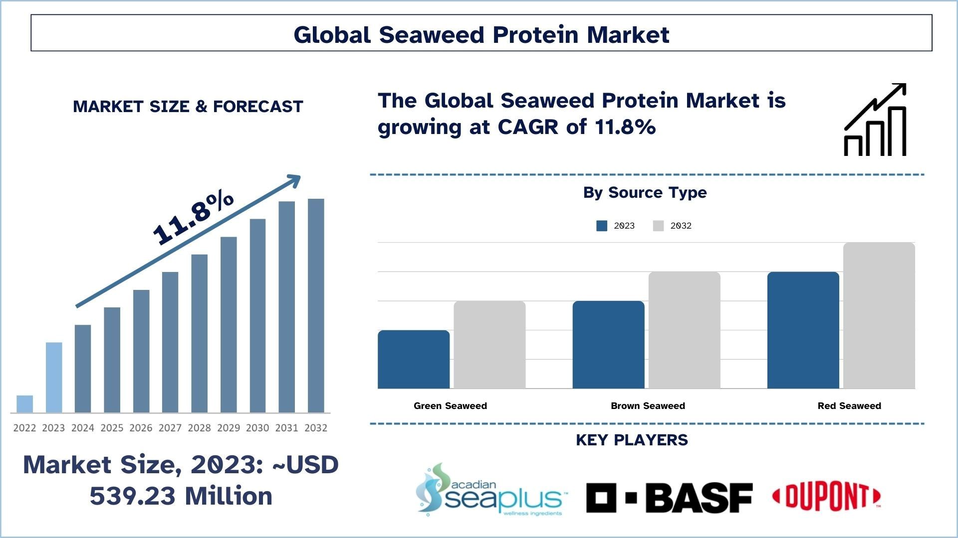 Seaweed_Protein_Market_Size_and_Forecast_a9660b8cad-1