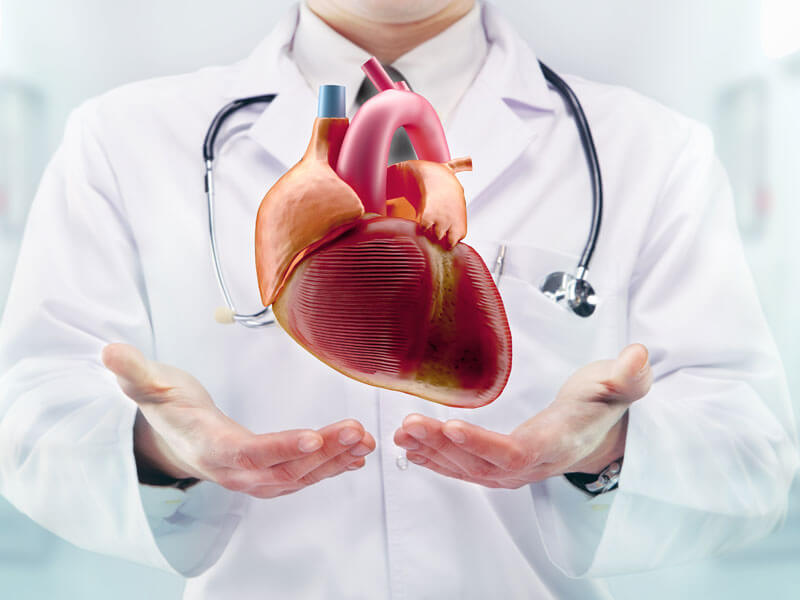 How a Cardiologist in Jaipur Helps You Prevent Heart Attacks