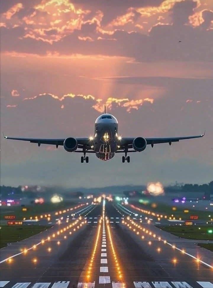 Understanding the Different Types of Fkights: Domestic, International, and Charter